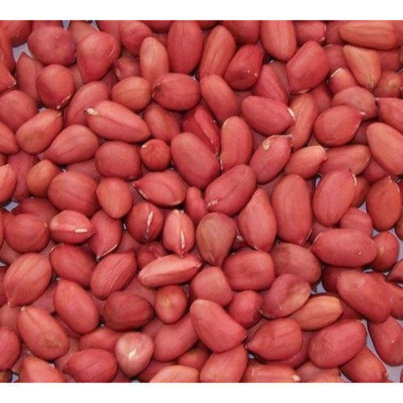 Peanut Natural Redskin
