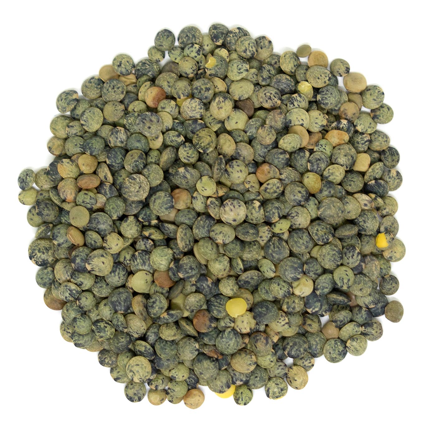 French Green - Puy Lentils