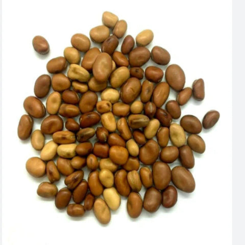 Fava Beans Dried