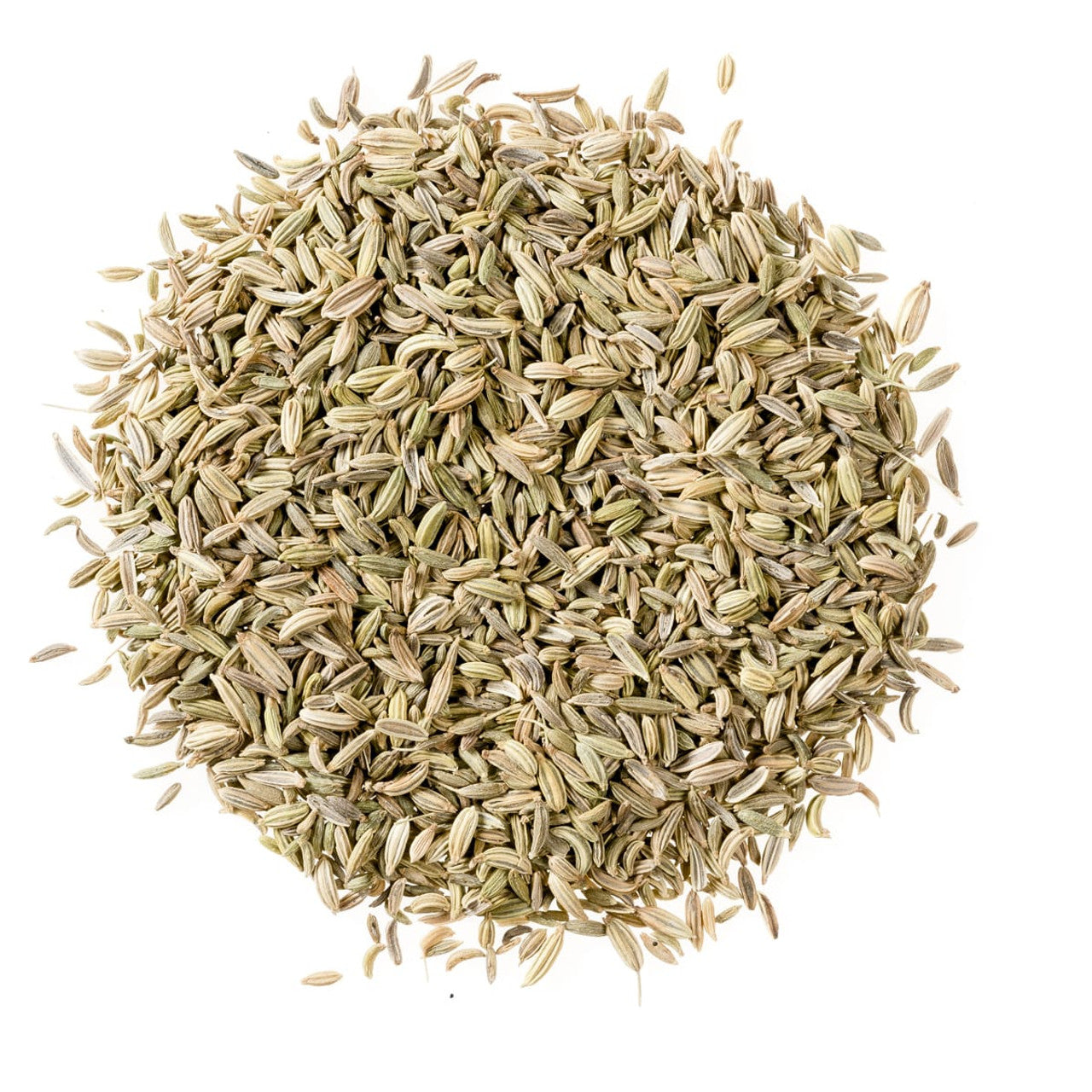 Fennel Seeds 50g