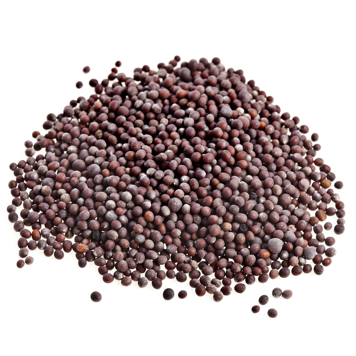 Black Mustard Seeds 100g