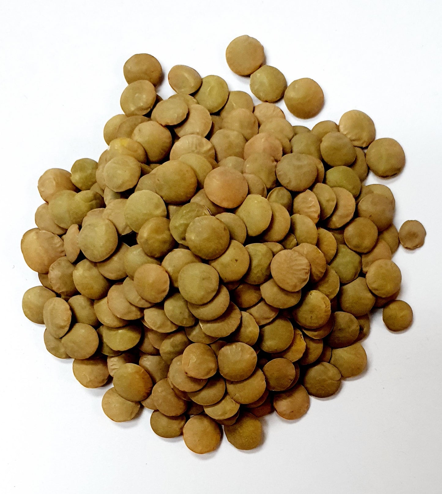 Whole Yellow/Brown Lentils